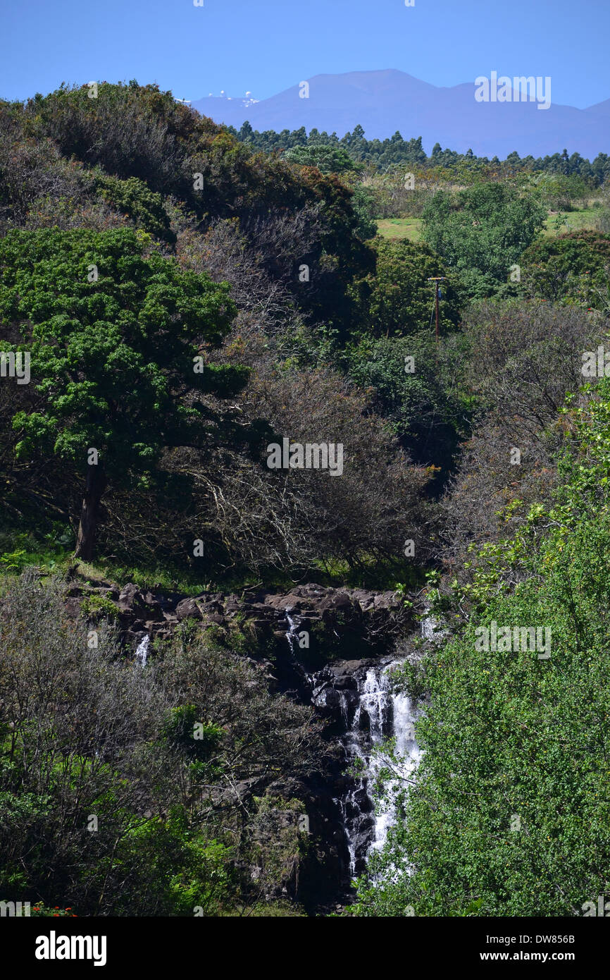 Waterfalls, Hamakua Coast, Big Island, Hawaii, USA Stock Photo