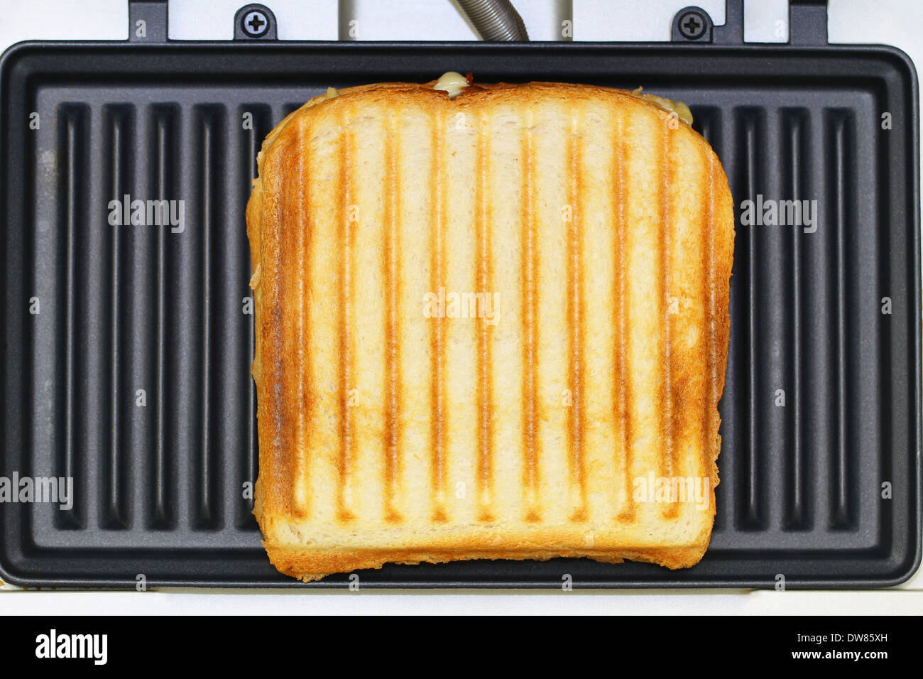 Toasted sandwich in toaster Stock Photo Alamy