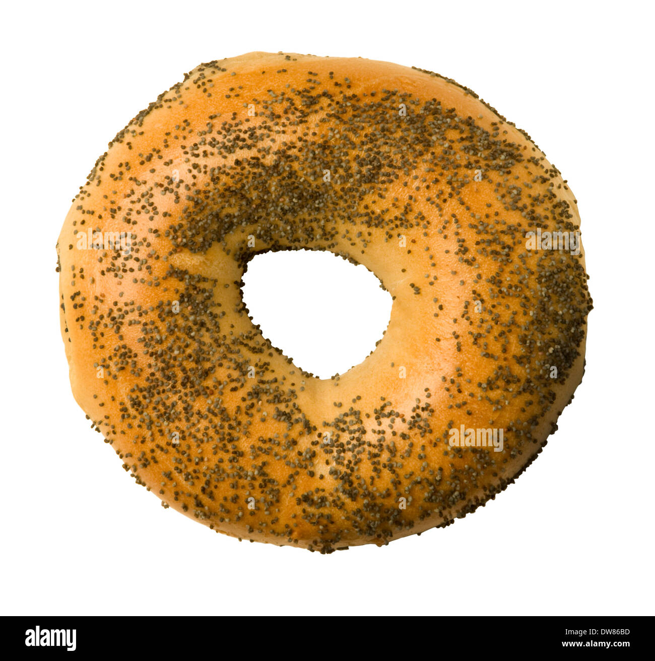 Poppy seed bagel isolated against a white background Stock Photo Alamy