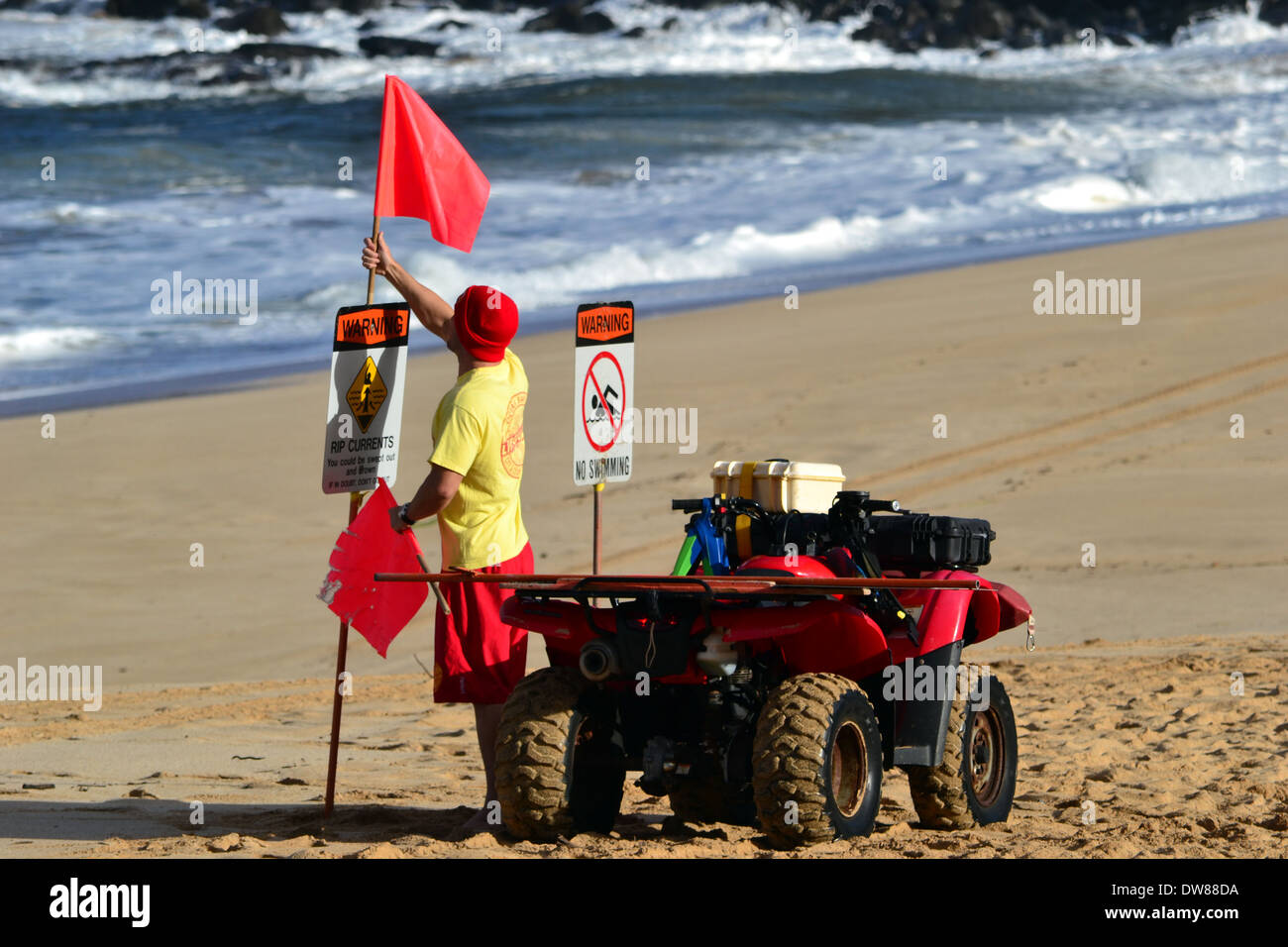 Lifeguard posting red flags warning of the high surf conditions in Waimea Bay, North Shore of Oahu, Hawaii, USA Stock Photo