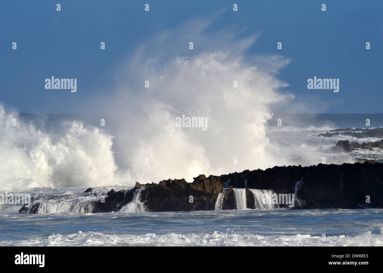 Tsunami north shore oahu