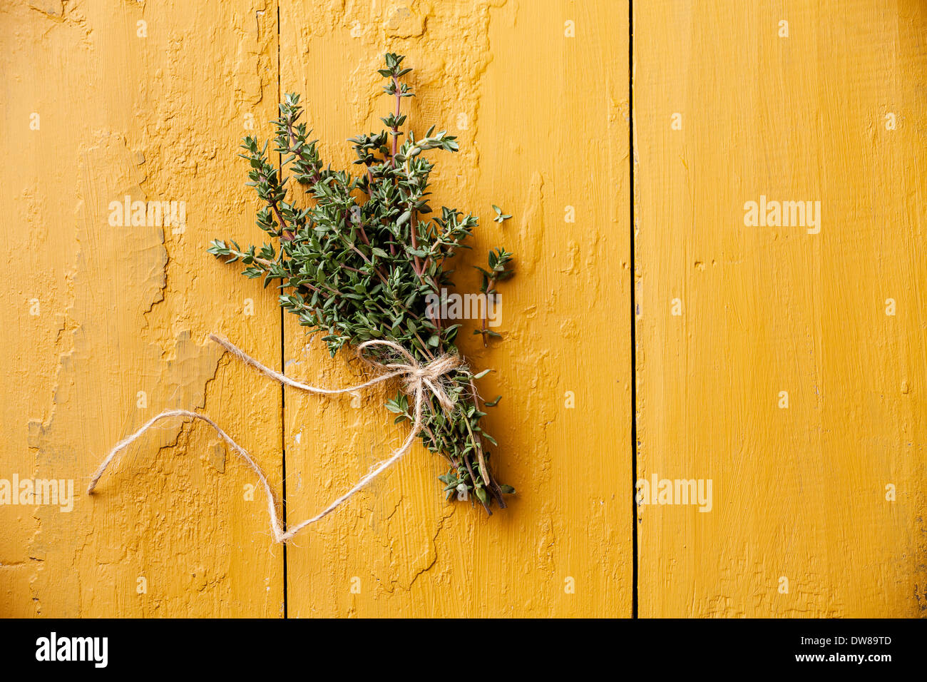 Bunch of fresh thyme on yellow background Stock Photo