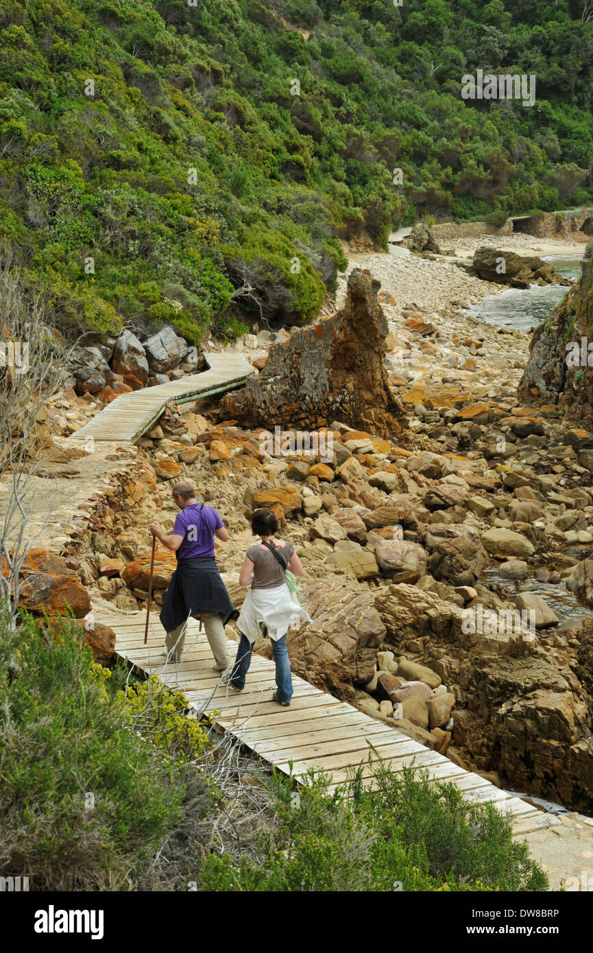 Knysna, Western Cape, South Africa, couple hiking on boardwalk along scenic rocky beach, Featherbed Nature Reserve, people, man, woman, landscape Stock Photo