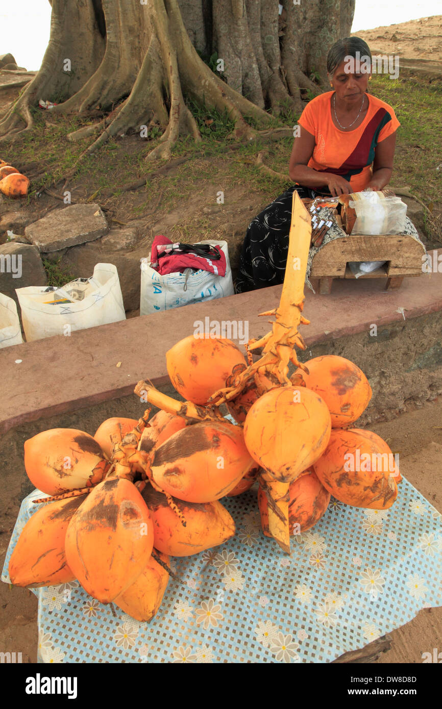 Sri Lanka, Weligama, coconut vendor, Stock Photo