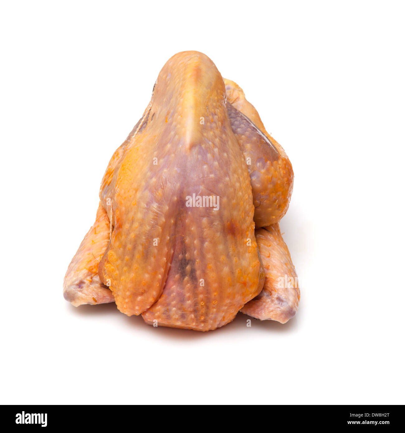 Guinea fowl uncooked isolated on a white studio background. Stock Photo