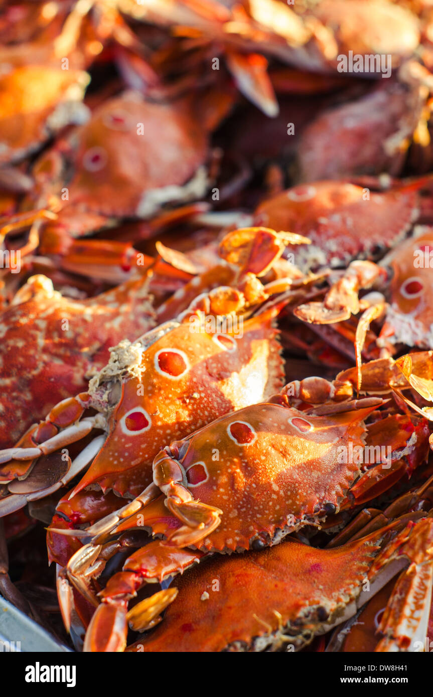 cooked crab for seafood buffet in beach party Stock Photo Alamy