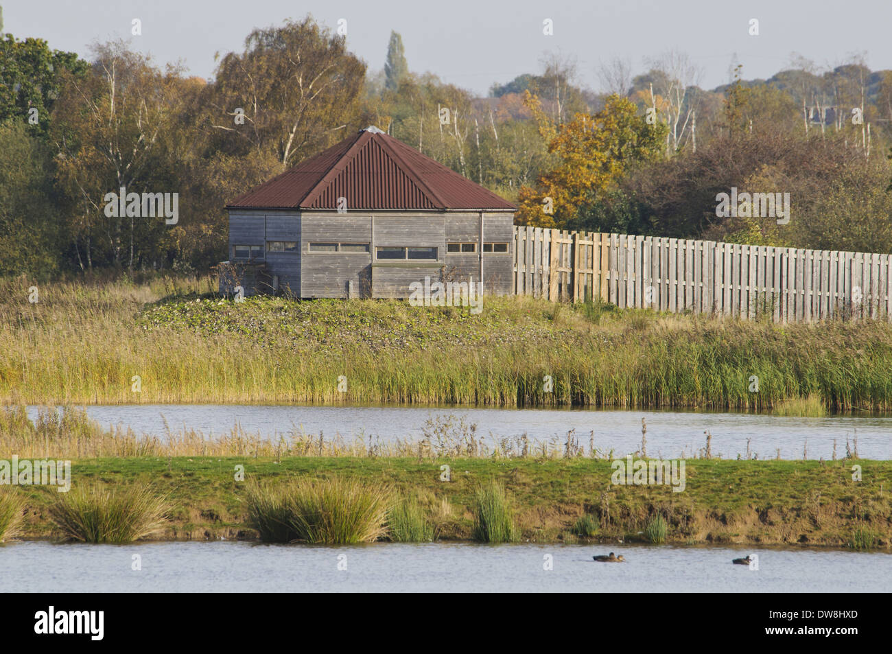 Birdwatching hide overlooking reedbed and wetland habitat Potteric Carr Nature Reserve South Yorkshire England October Stock Photo