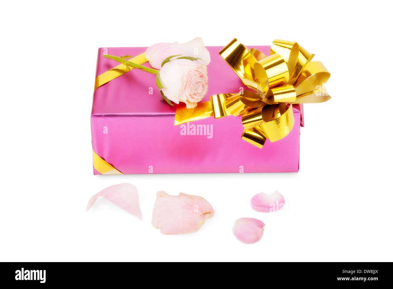 Pink gift box with rose flower isolated on white background Stock Photo ...