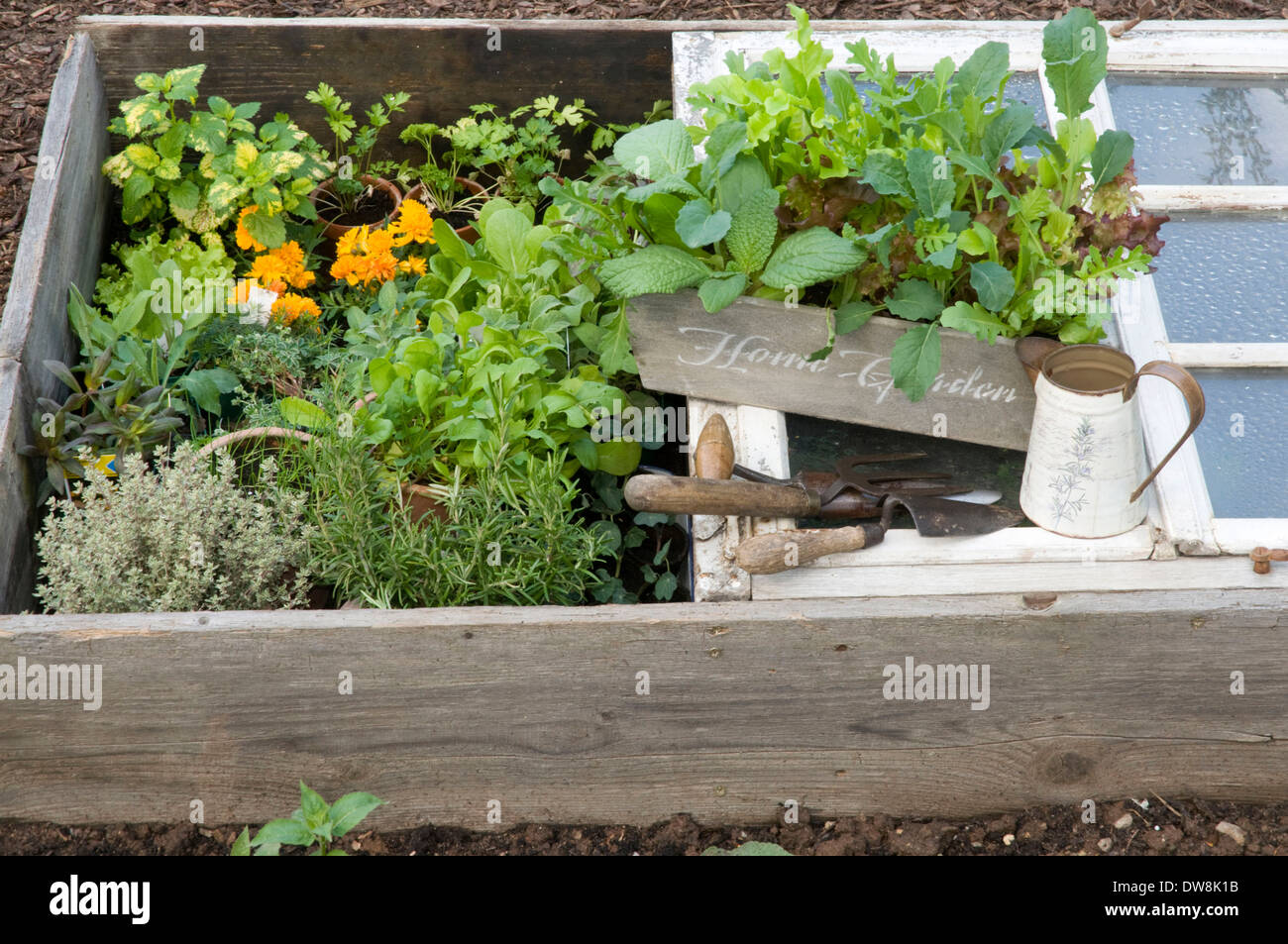 Cold frame, hotbed Stock Photo Alamy