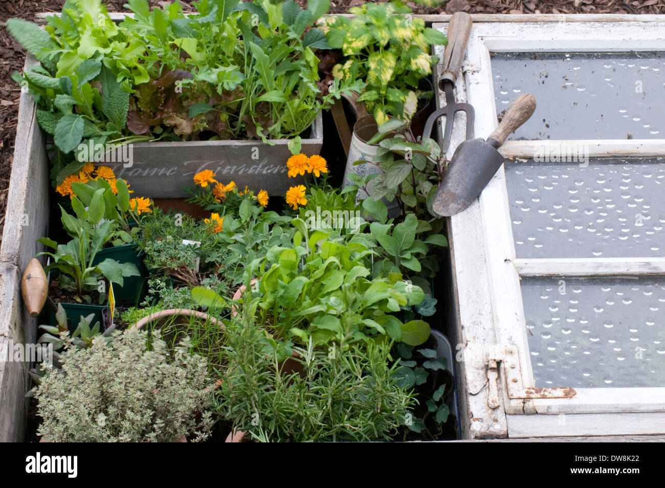 Cold frame, hotbed Stock Photo