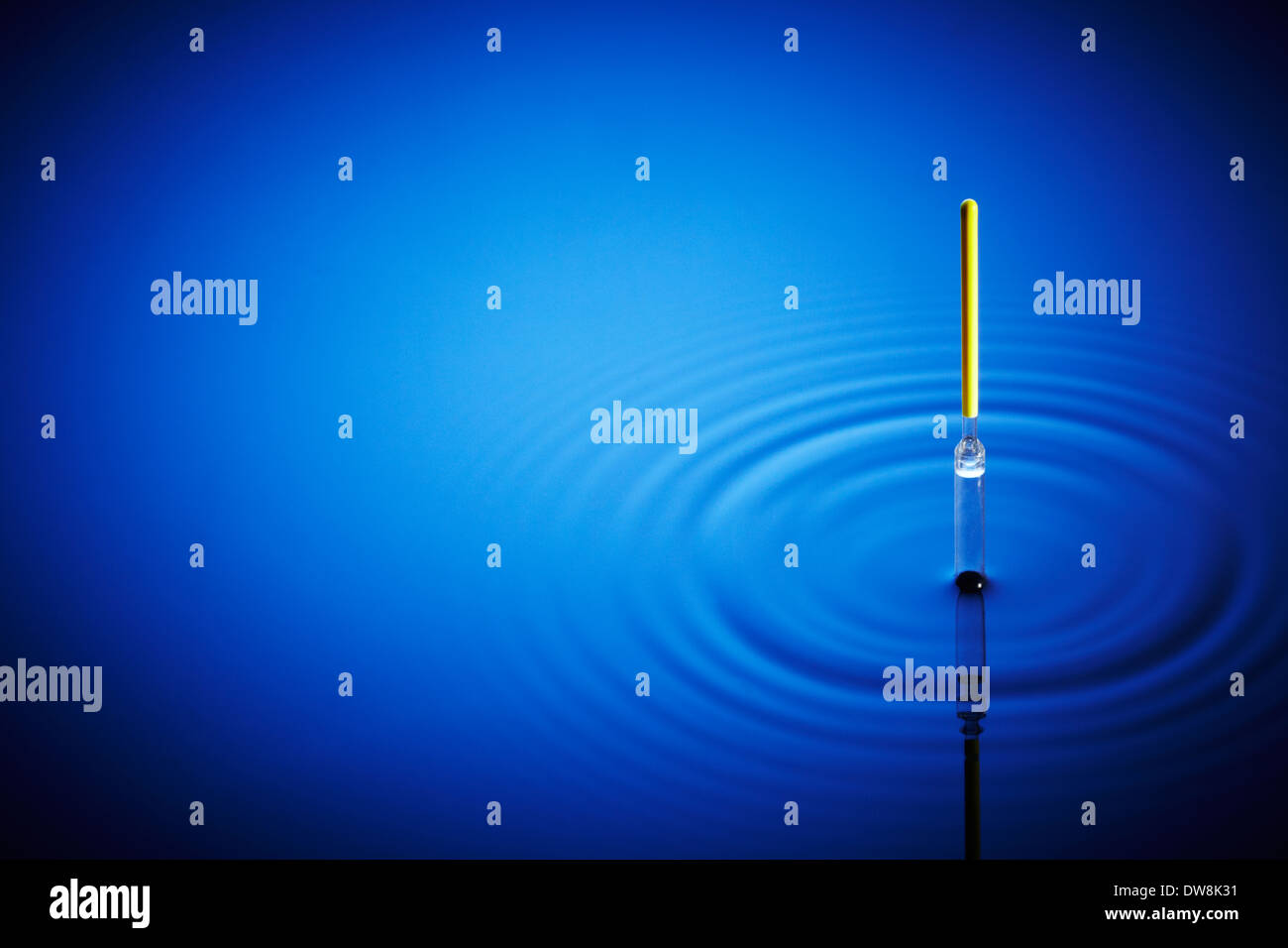 Fishing Float in Water Stock Photo Alamy