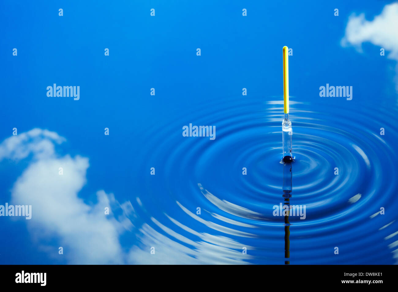 Fishing Float in Water Stock Photo Alamy