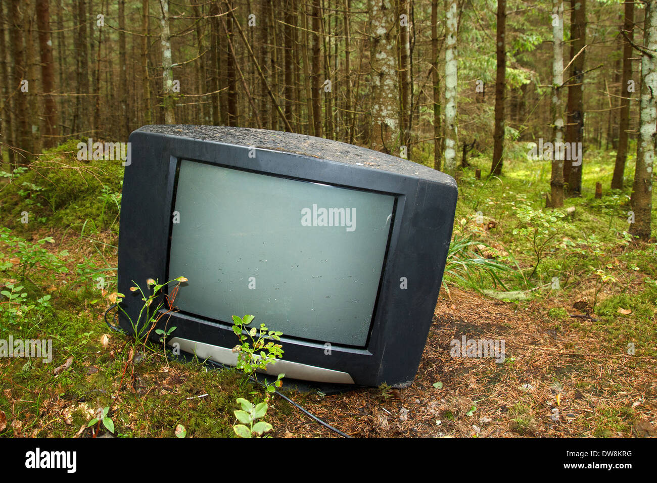 Discarded television set in the forest Stock Photo