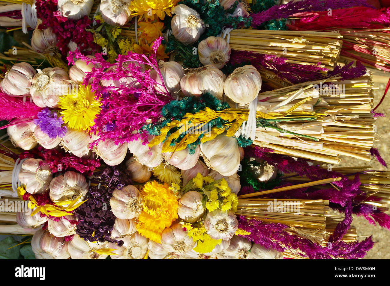 Strings of garlic decorated with colorful dried flowers Stock Photo