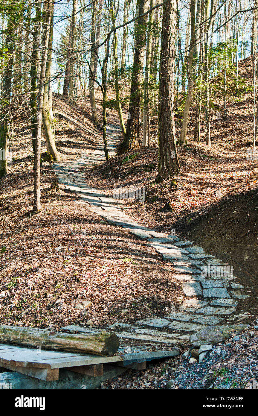 Uetliberg bike trail sale