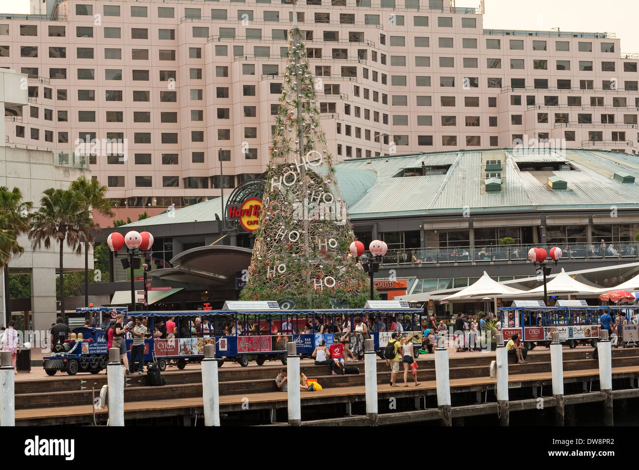 Christmas trees Cockle Bay Sydney Australia Stock Photo Alamy