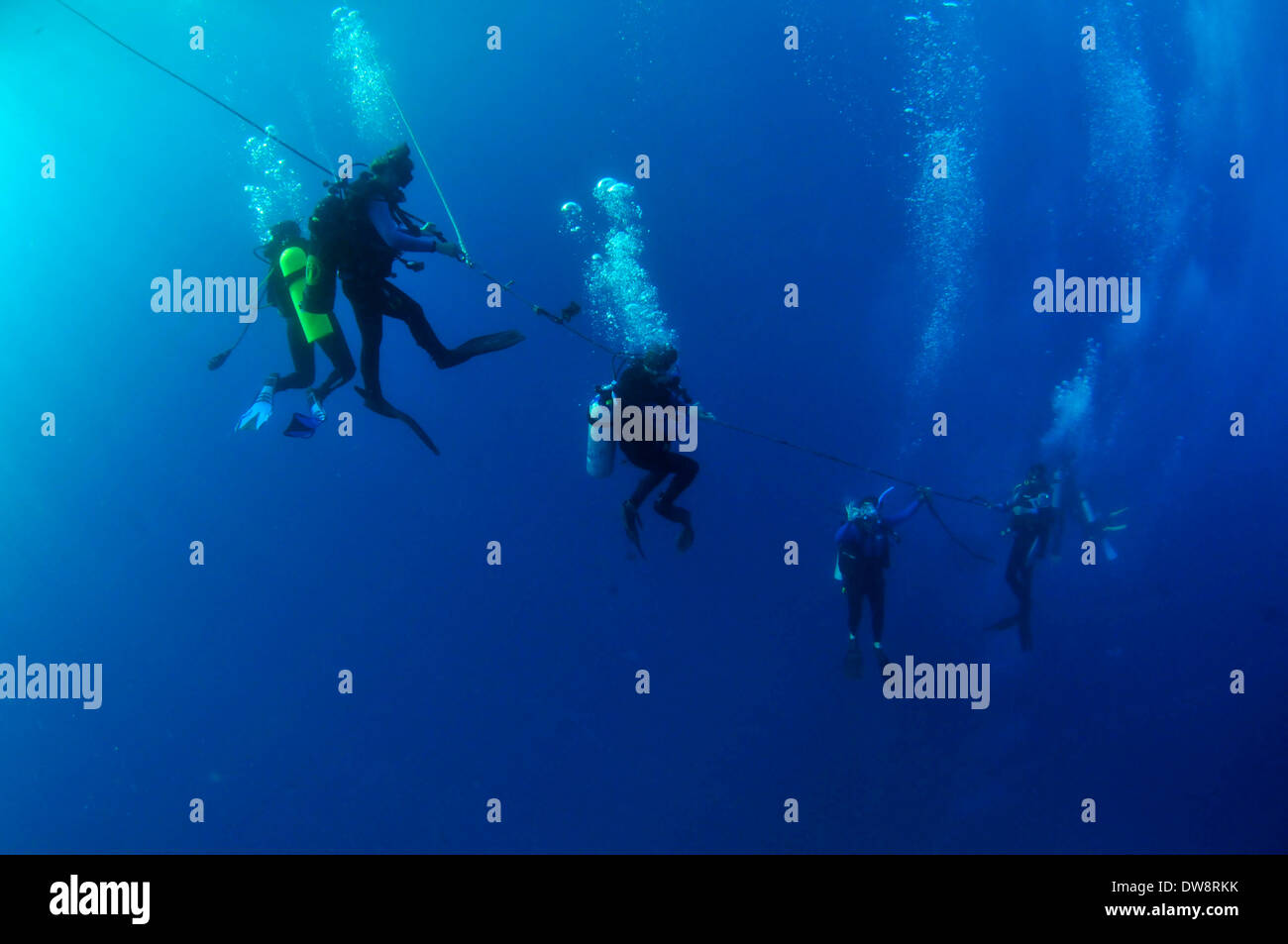 Scuba divers descending on a rope, Honolulu, Oahu, Hawaii, USA Stock Photo