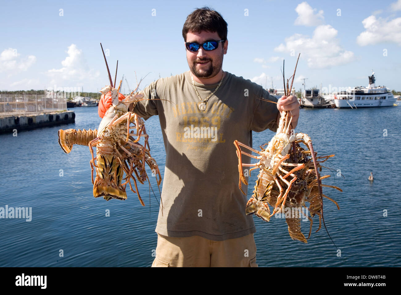 Lobsters in hand on Stock Island, Key West, Florida, USA Stock Photo