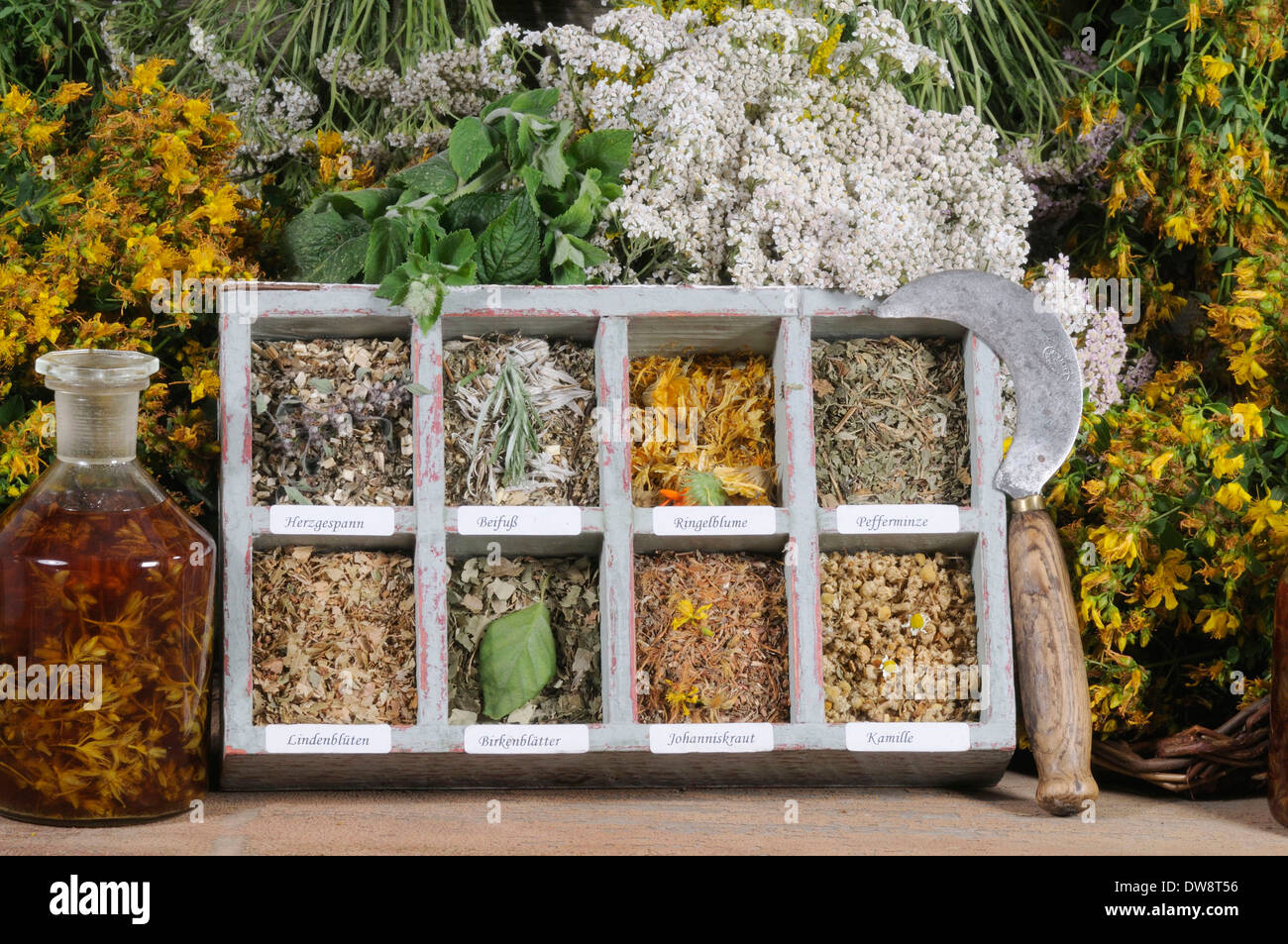 Drying medicinal plants hi-res stock photography and images - Alamy