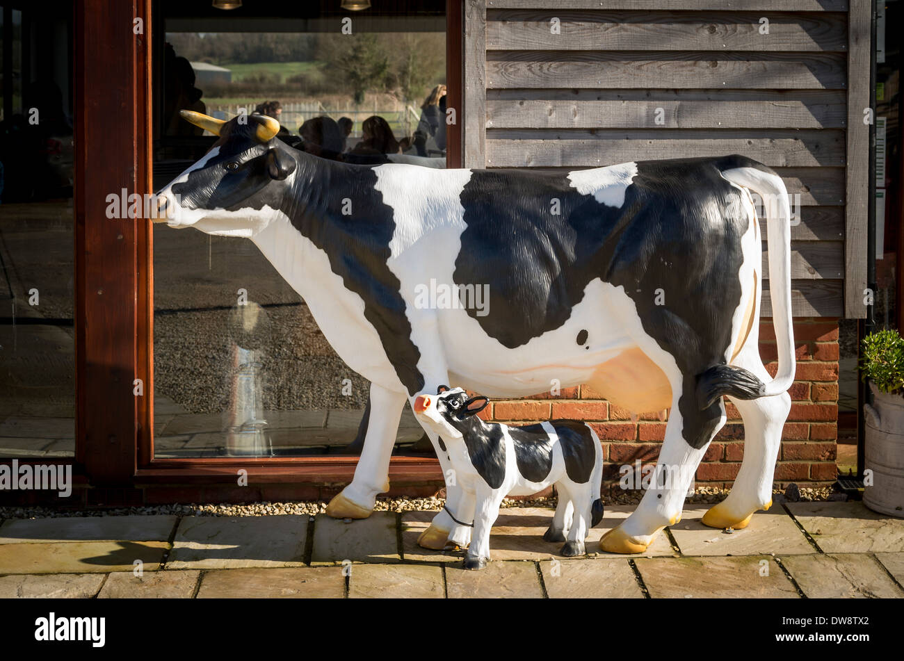 Models of cow and calf outside Rowdey Cow farm tea shop in UK Stock Photo