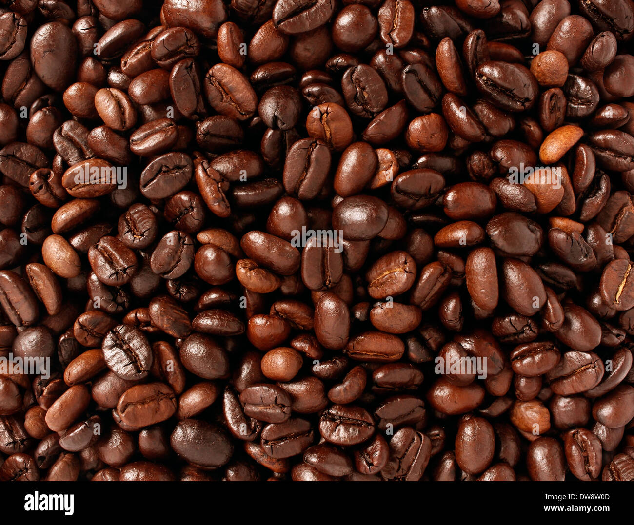 Coffee Beans Background With Roasted Natural Seeds For Brewing Espresso Or Cappuccino As A Natural Food Concept With A Java Blend Of Different Types Of Roasts From Around The World Stock Photo