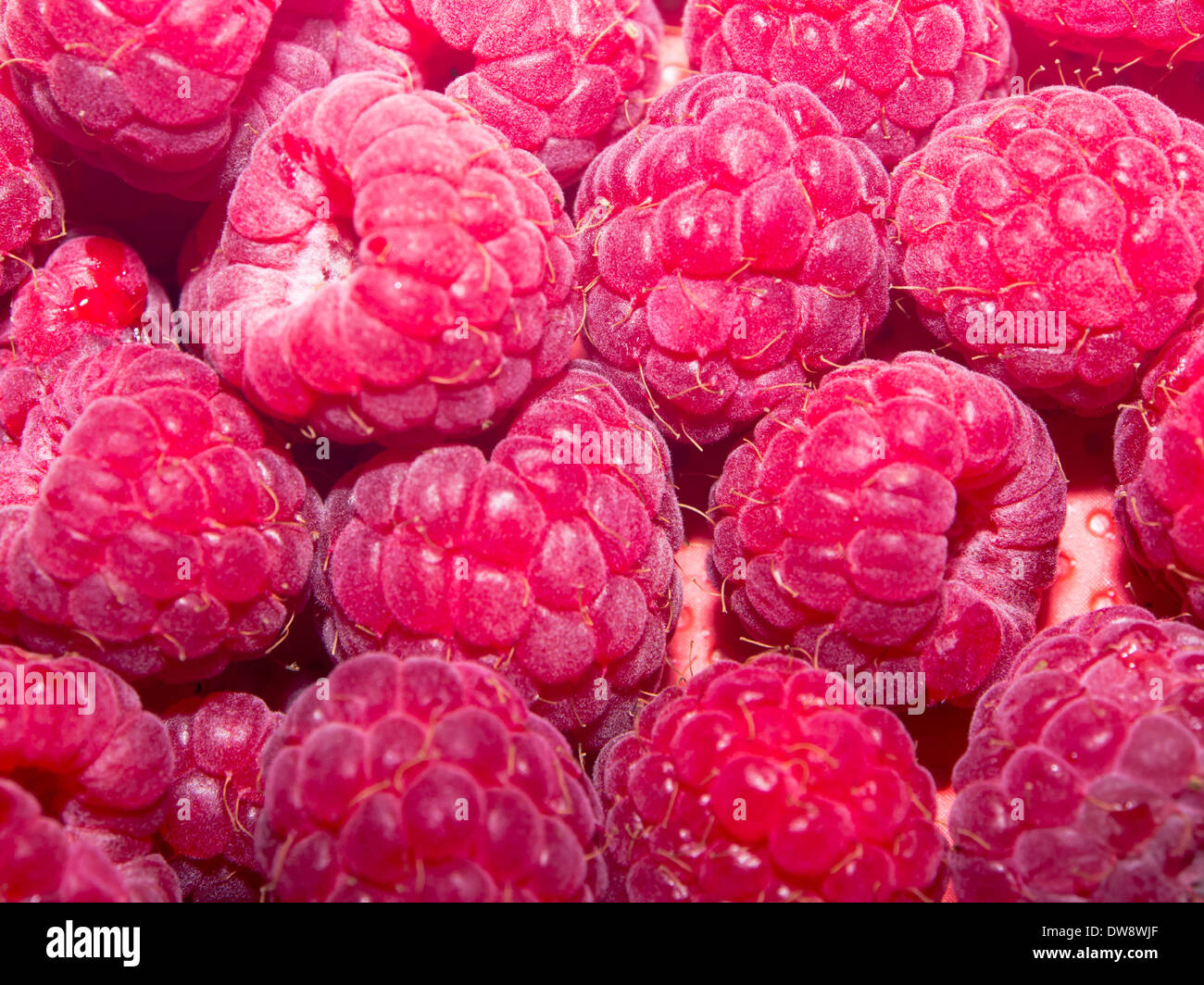 close up image of fresh raspberries. Stock Photo