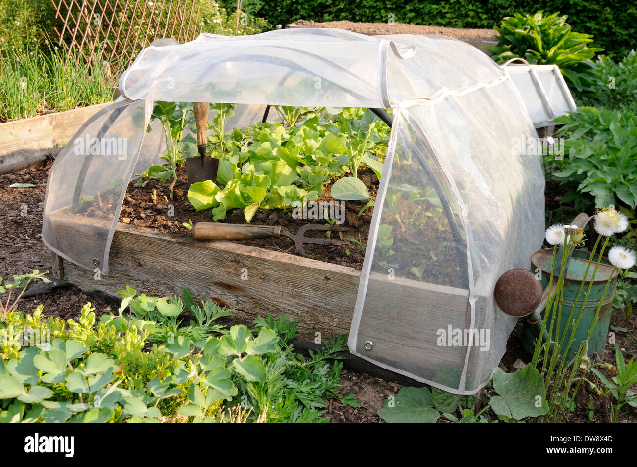 Cold frame Stock Photo