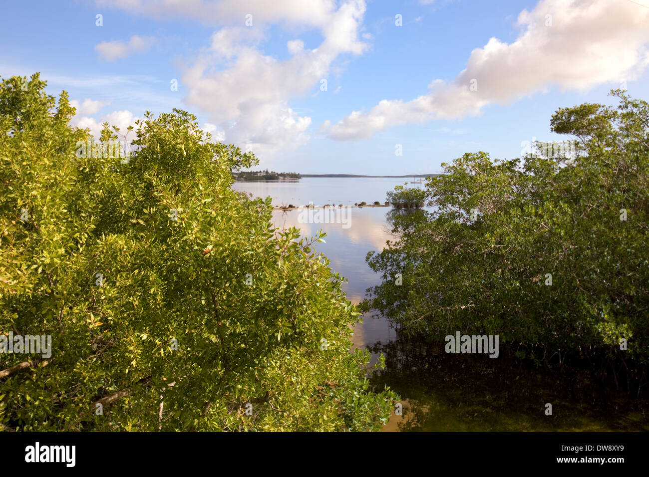 John Pennekamp Coral Reef State Park, Key Largo, Florida, USA Stock