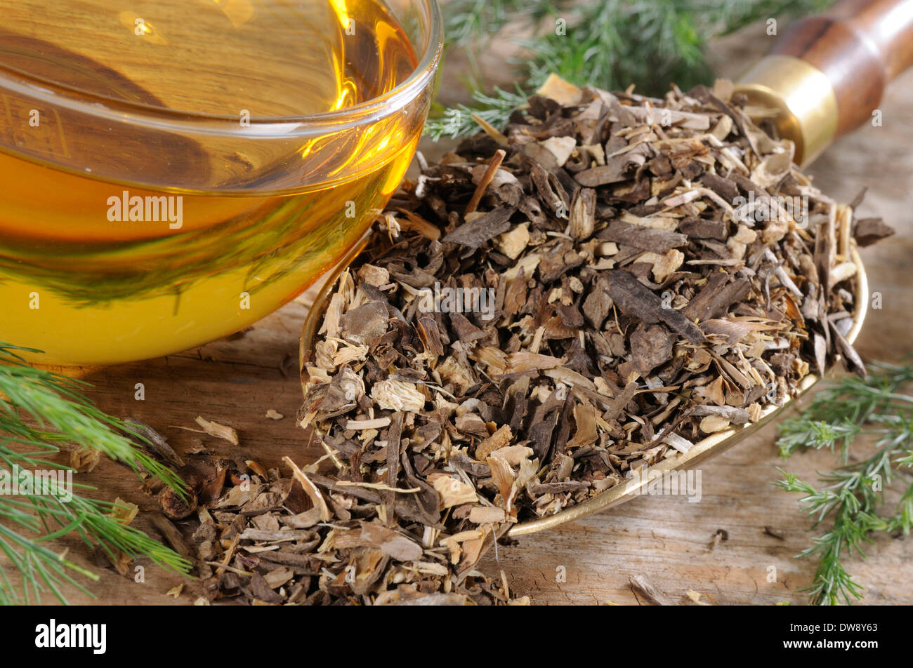 Asparagus Radix tea Stock Photo Alamy