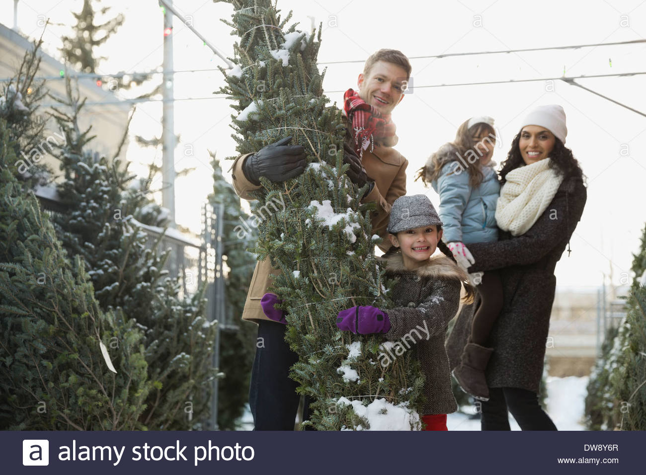 Family tree center hi-res stock photography and images - Alamy