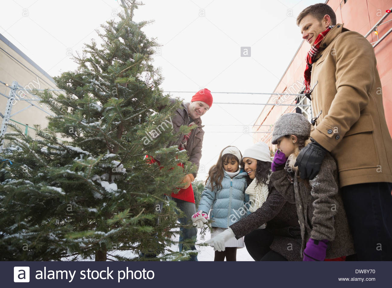 Family shopping for Christmas tree Stock Photo