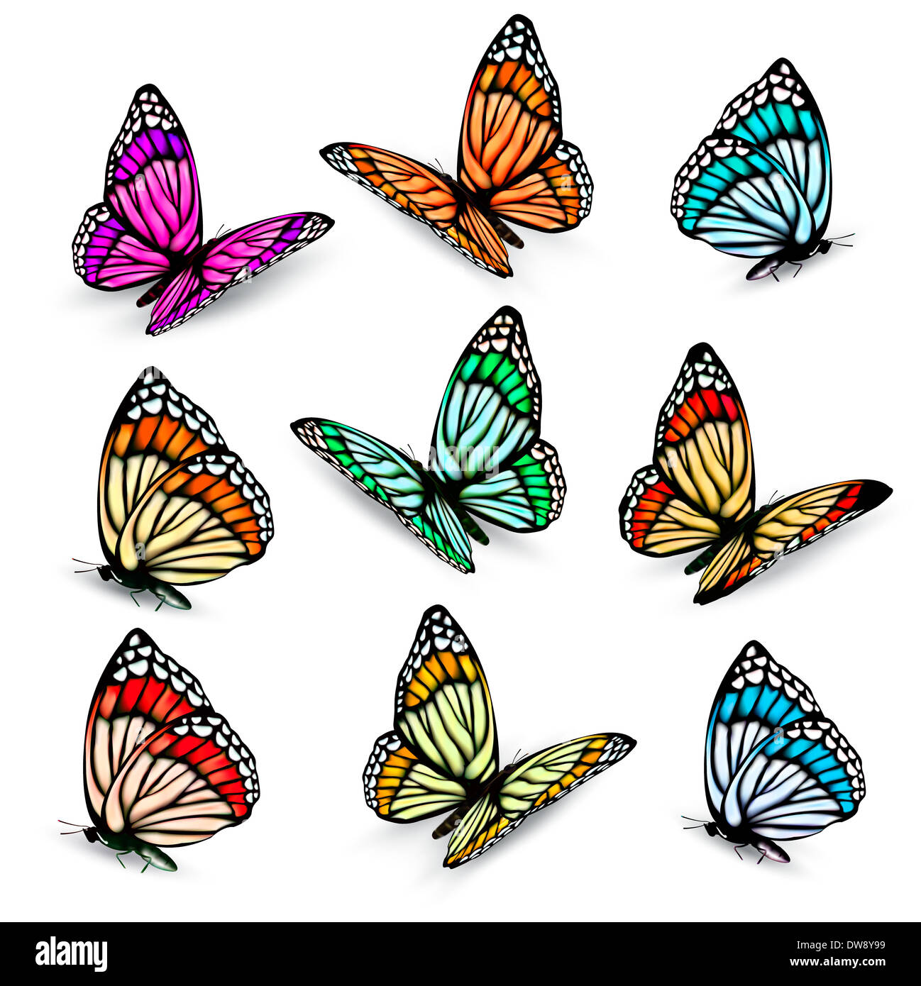 Set of realistic colorful vector butterflies Stock Photo - Alamy