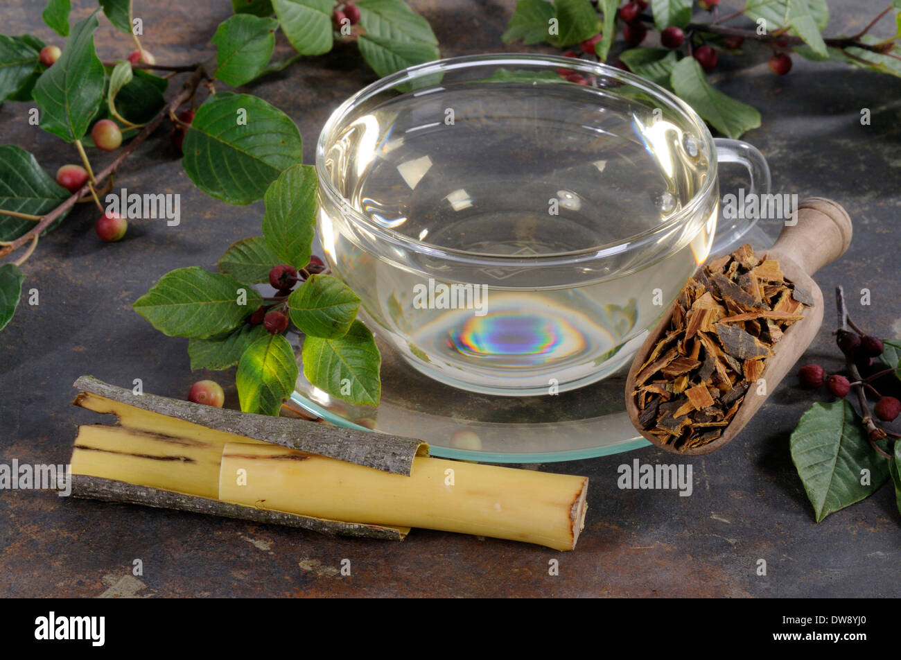 Alder buckthorn bark tea hires stock photography and images Alamy