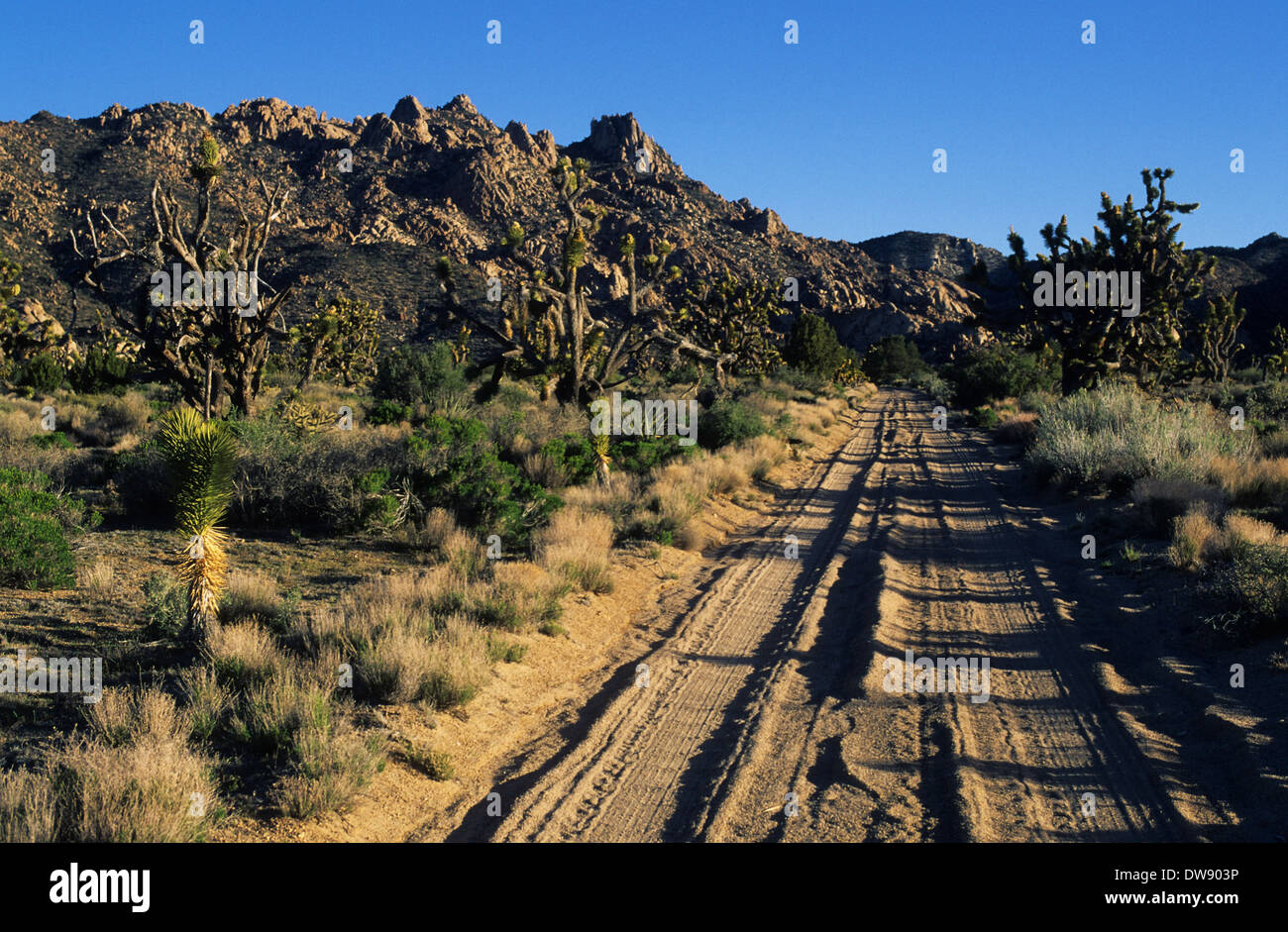 Caruthers canyon hires stock photography and images Alamy