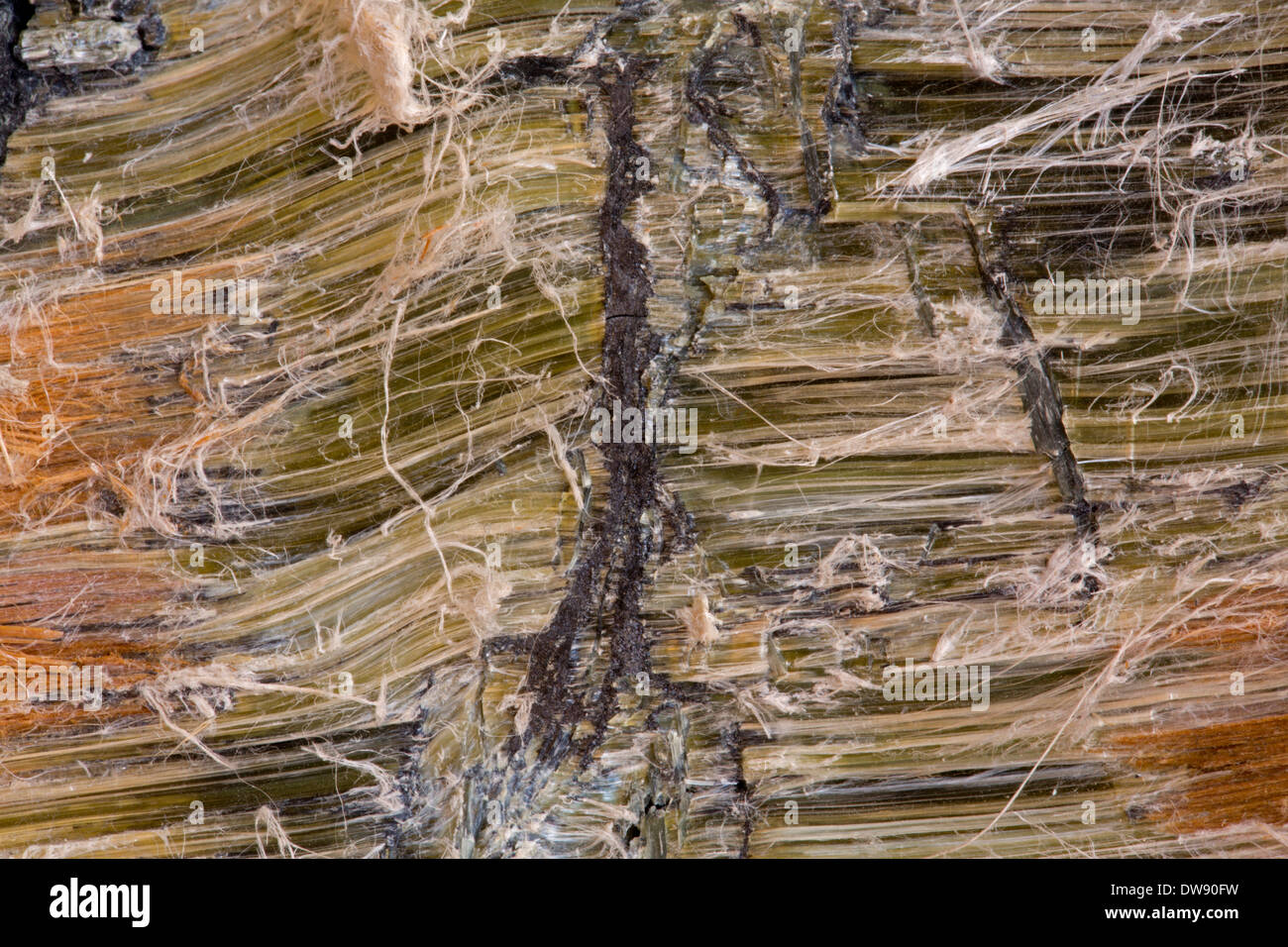 Chrysotile, (asbestos), Asbestos hill mine, Ungara peninsula, Quebec