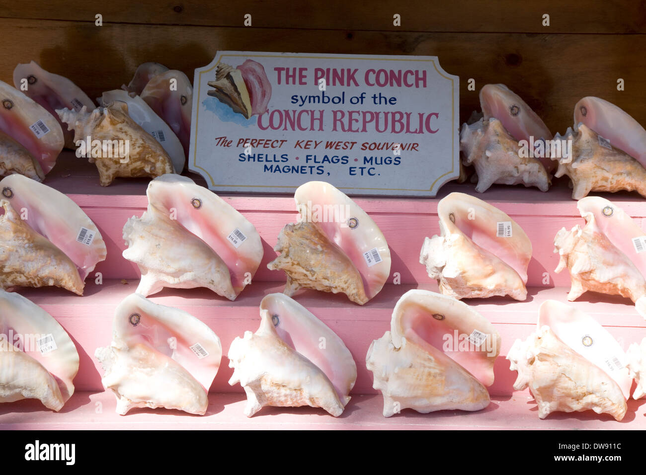 Key West is known as the Conch Republic and its symbol, of course, is