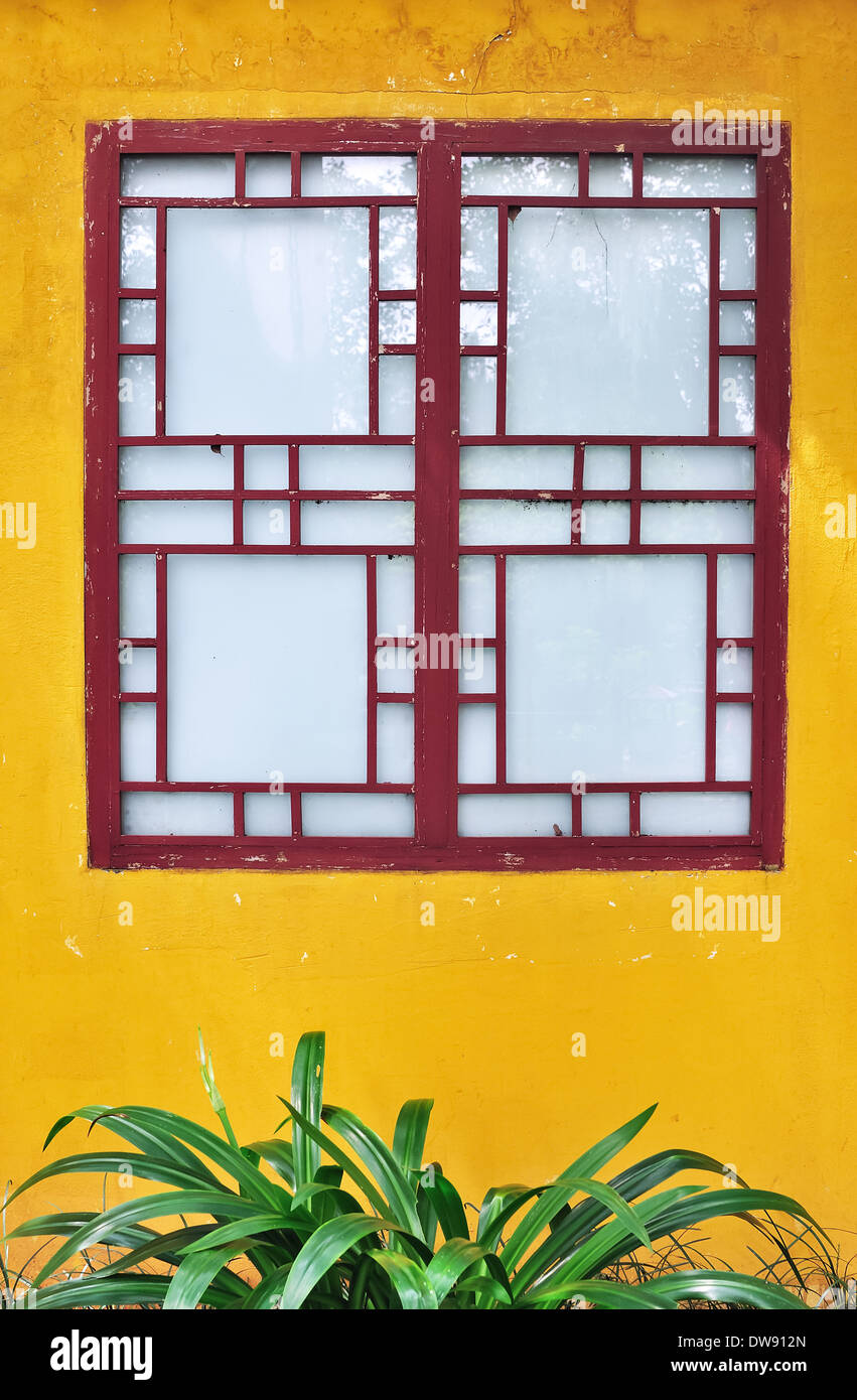 asian style window Mica martinez hardcore