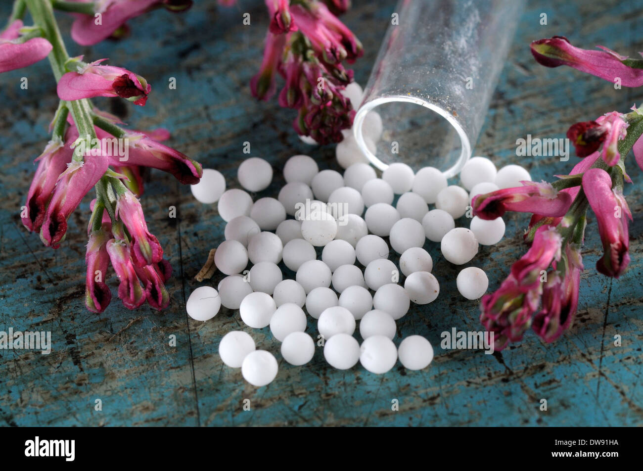 Common Fumitory Stock Photo