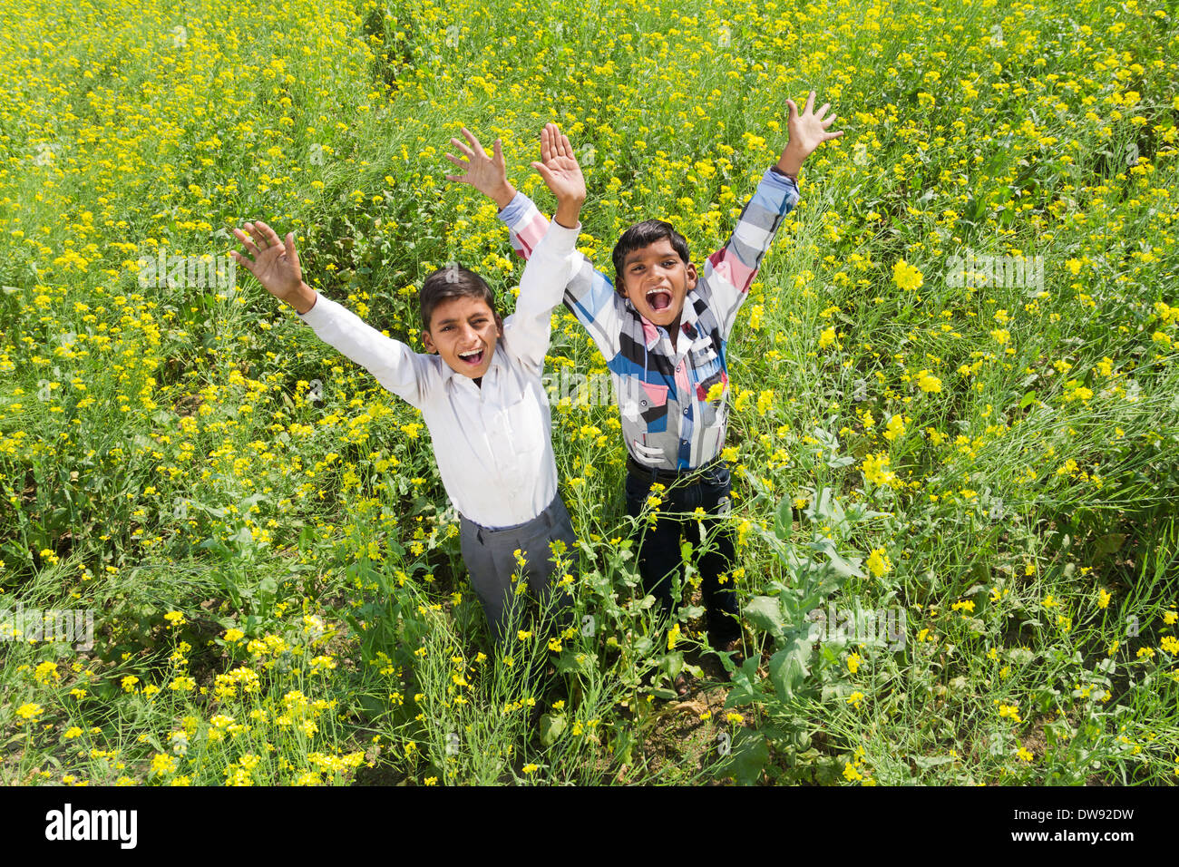 Indian boys carefree in farm Stock Photo
