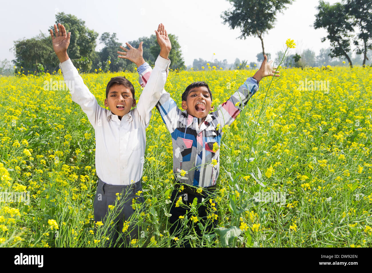 Indian boys carefree in farm Stock Photo