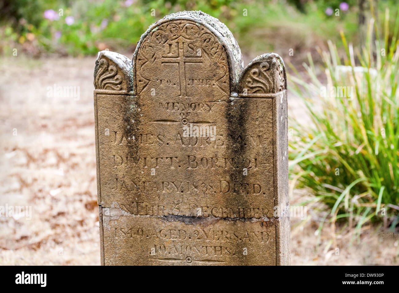Isle of the Dead, Convict cemetery, Port Arthur, historic site, Tasmania, Australia Stock Photo