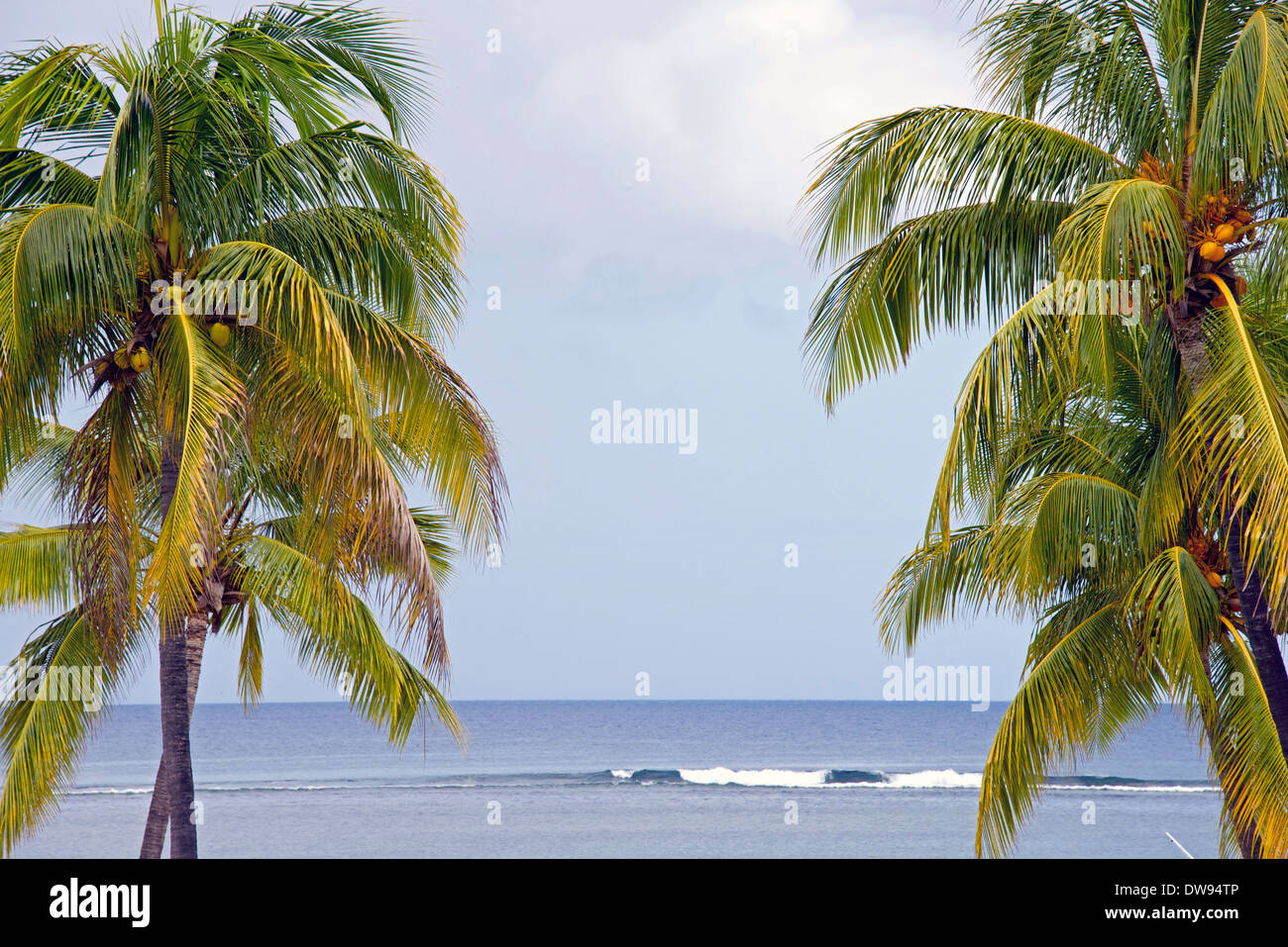 Tropic climate hi-res stock photography and images - Alamy