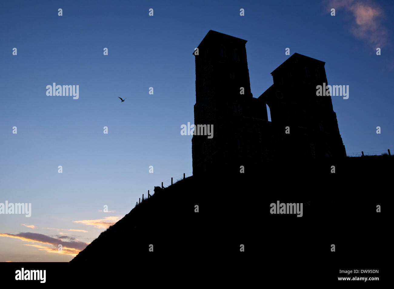 Reculver towers kent UK a seagull is flying in the sky Stock Photo