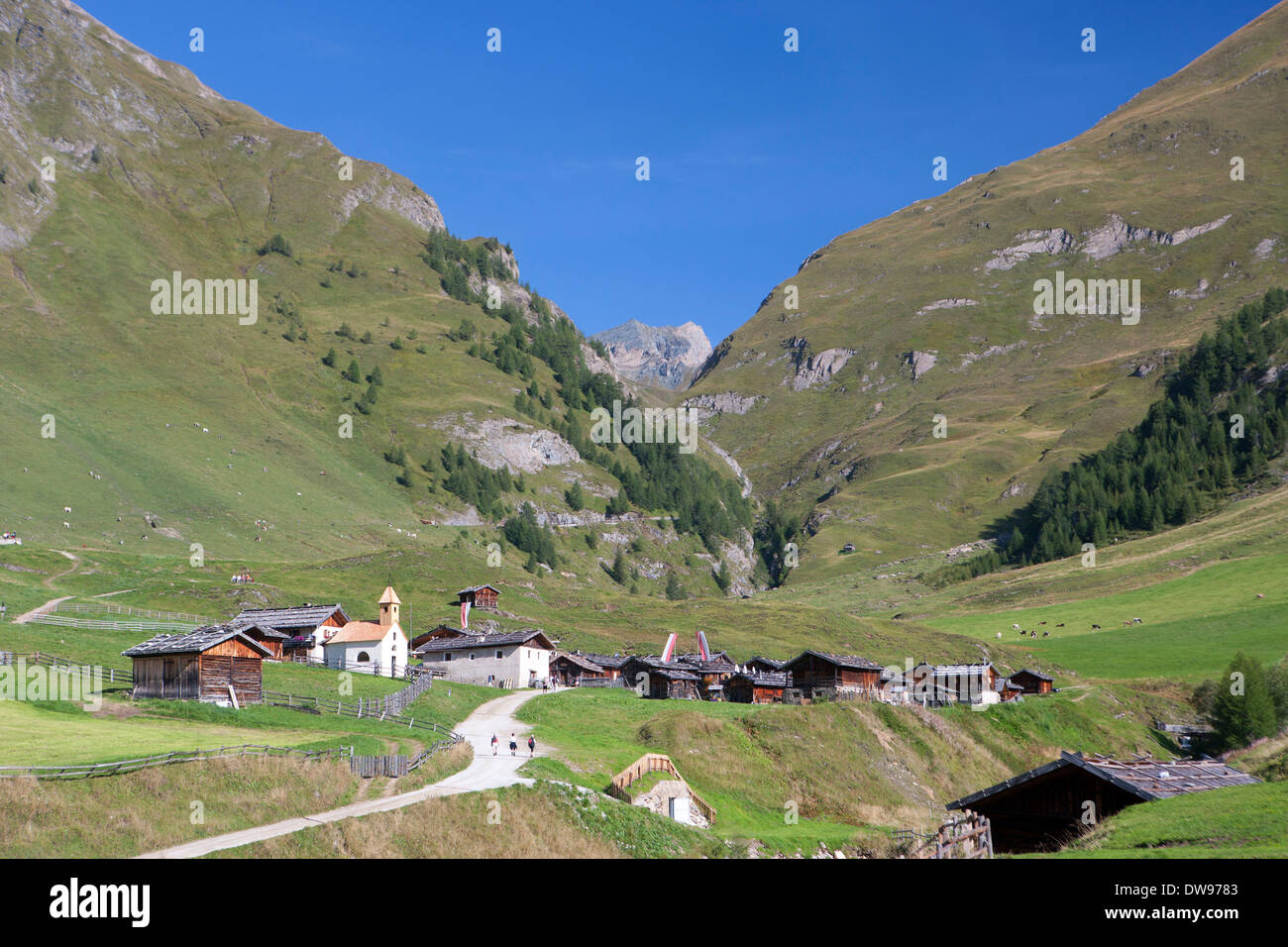 Fane Alp, alp village, Valser Tal, South Tyrol, Italy Stock Photo