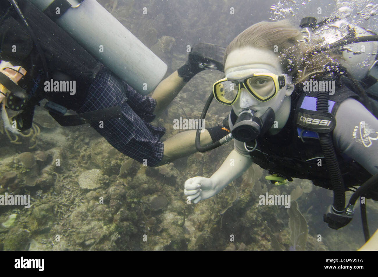 Scuba divers underwater Utila Bay Islands Honduras Stock Photo Alamy