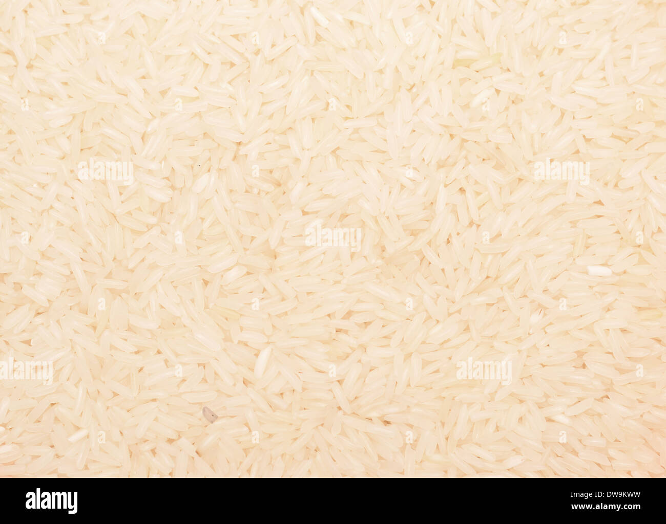 Rice background hi-res stock photography and images - Alamy