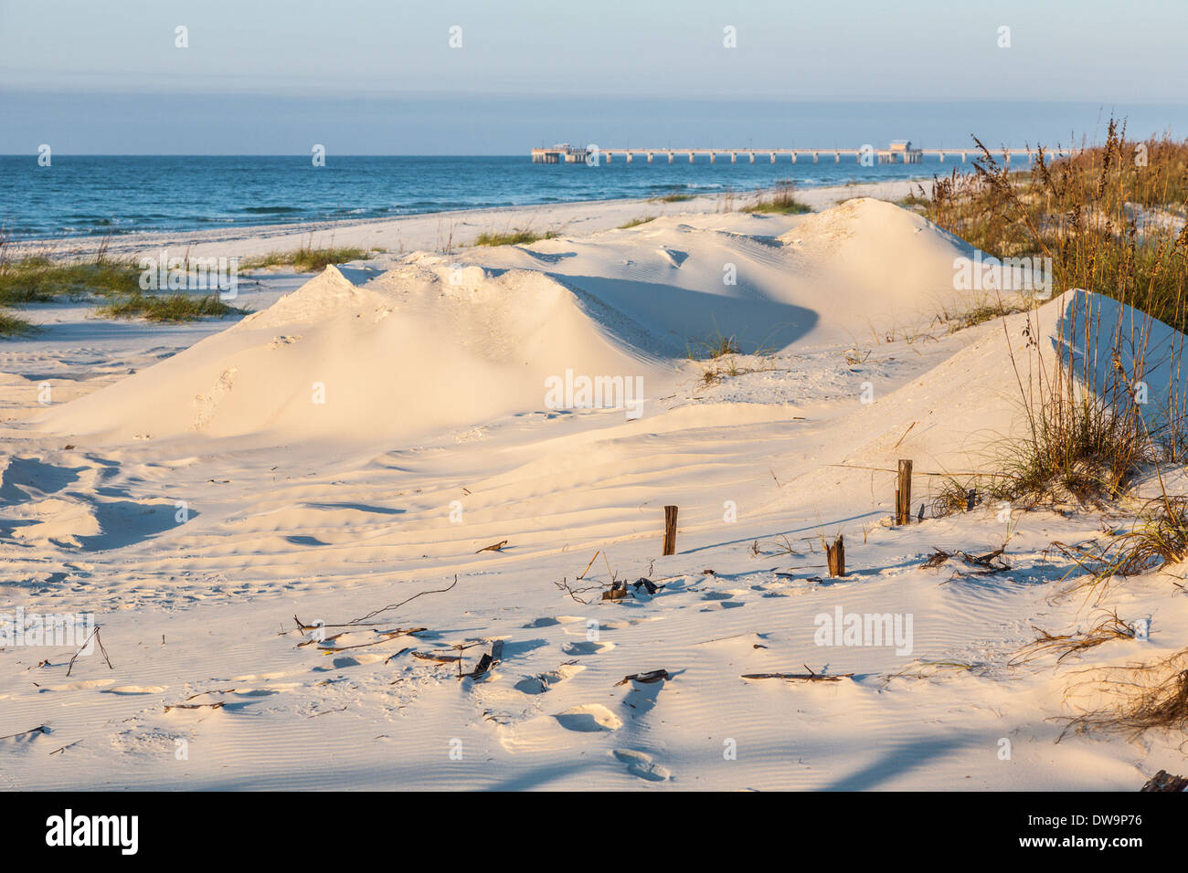 Sand dunes and sea oats help to protect the beaches from erosion at Gulf Shores, Alabama Stock Photo