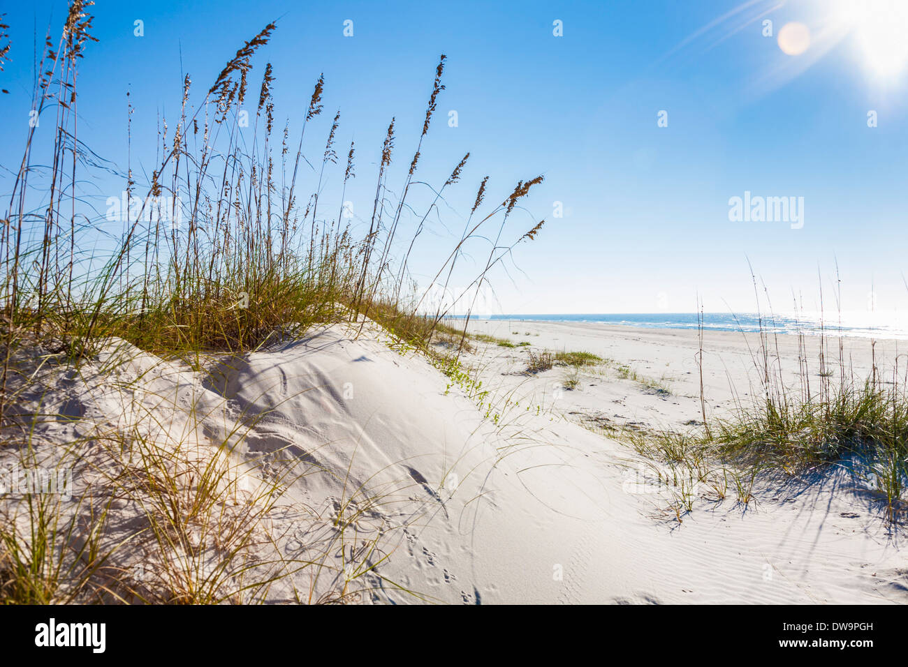 Early morning sun rays shining down on sea oats on top of a sand dune on the beach at Gulf Shores, Alabama Stock Photo