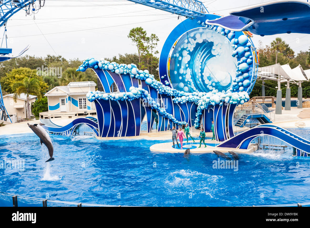 Animal trainers performing with dolphins at the Blue Horizons show in