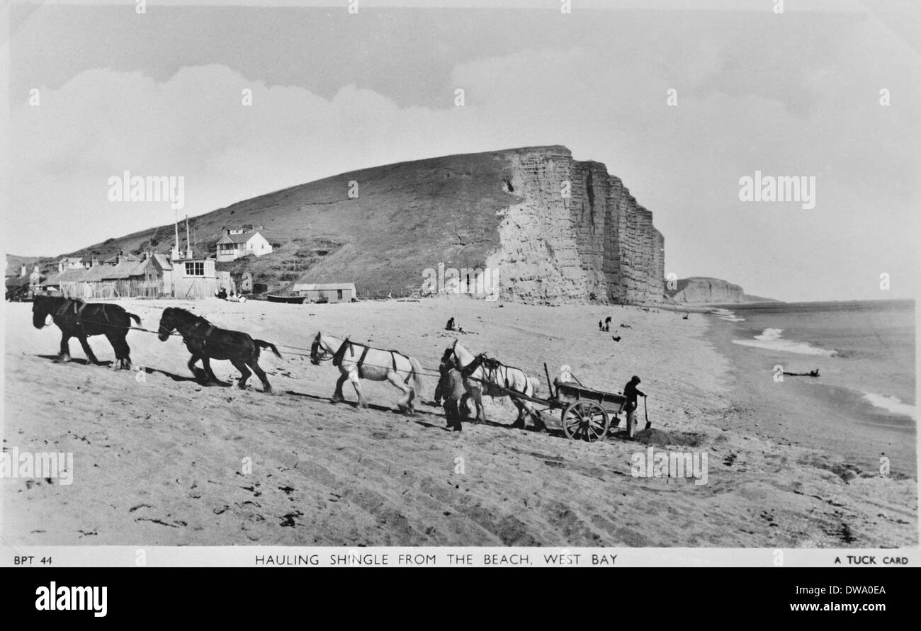 Horses hauling gravel from the beach at West Bay, Bridport circa 1935 Stock Photo